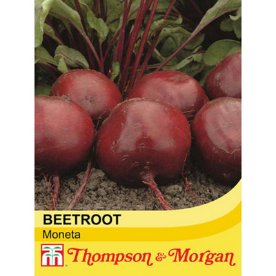 Thompson & Morgan Beetroot Moneta 1 Seed Packet (150 Seeds) from B&Q
