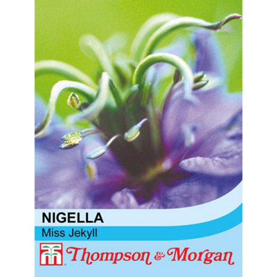 Thompson & Morgan Nigella Miss Jekyll 1 Packet (685 Seeds) from B&Q