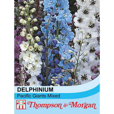 Thompson & Morgan Delphinium Hybridum Pacific Giant Mixed 1 Packet (110 Seeds) from B&Q