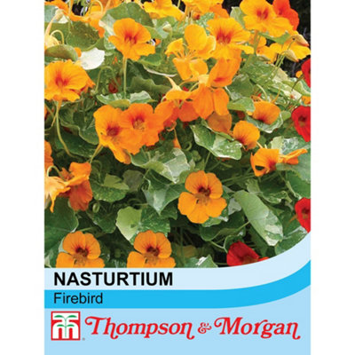 Thompson & Morgan Nasturtium Firebird 1 Seed Packet (30 Seeds) from B&Q