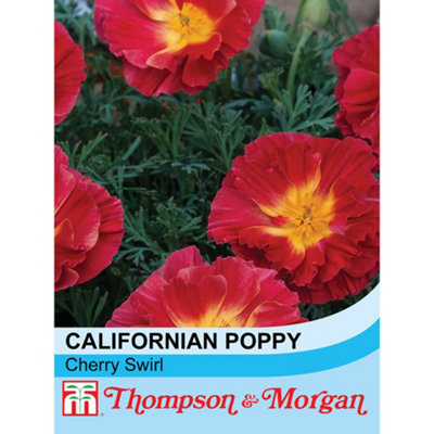 Thompson & Morgan Californian Poppy Cherry Swirl 1 Packet (125 Seeds) from B&Q
