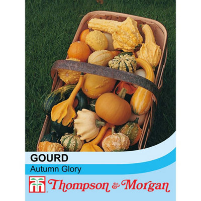 Thompson & Morgan Gourd Autumn Glory 1 Seed Packet (25 Seeds) Light
