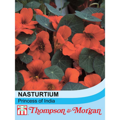 Thompson & Morgan Nasturtium Princess Of India 1 Seed Packet (30 Seeds) from B&Q