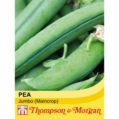 Thompson & Morgan Pea Jumbo 1 Seed Packet (250 Seeds) from B&Q