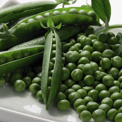 B&Q -  Pea Boogie 1 Seed Packet (250 Seeds)