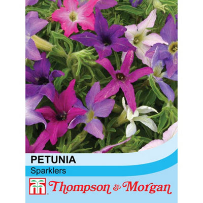 Thompson & Morgan Petunia Spark-Lers 1 Packet (30 Seeds) from B&Q