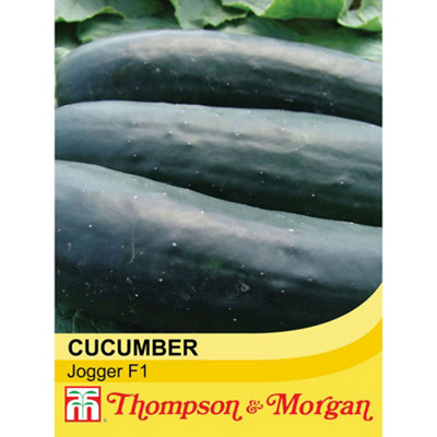 Thompson & Morgan - Cucumber Jogger F1 Hybrid Seeds - Image 4