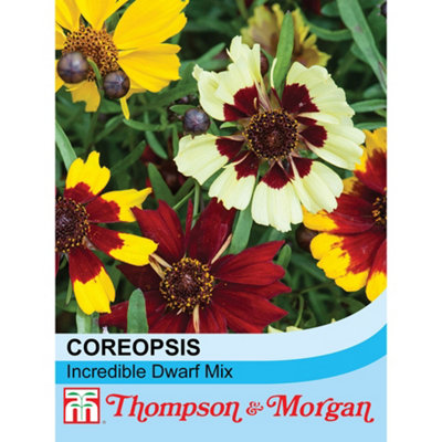 B&Q -  Coreopsis Incredible Dwarf Mix 1 Packet (100 Seeds)