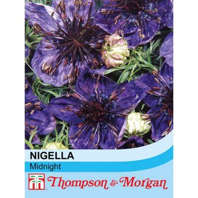 Thompson & Morgan Nigella Midnight 1 Packet (350 Seeds) from B&Q