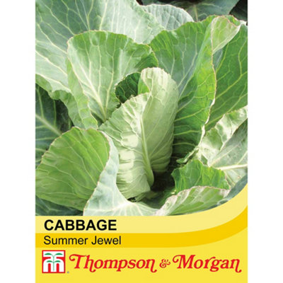 Thompson & Morgan Cabbage Summer Jewel F1 Hybrid 1 Seed Packet (30 Seeds)