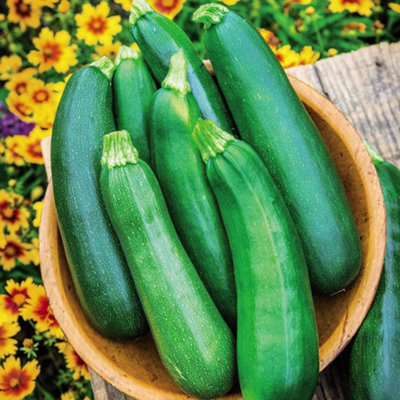 B&Q -  Courgette Sure Thing 1 Seed Packet (6 Seeds)