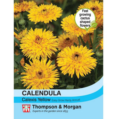 Thompson & Morgan Calendula Officinalis Calexis Yellow 1 Seed Packet (50 Seeds) from B&Q
