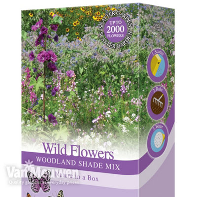 Thompson & Morgan Woodland Garden Wildflower SeedsBees & ButterfliesFoxglovesBorageForget Me NotsSuitable For Shady Areas from B&Q