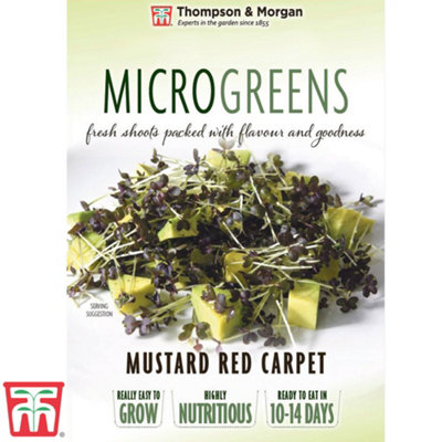 Thompson & Morgan Microgreens Mustard Red Carpet 1 Seed Packet from B&Q