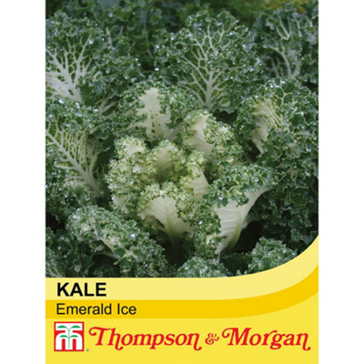 Thompson & Morgan Kale Emerald Ice 1 Seed Packet (20 Seeds) from B&Q