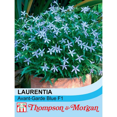 B&Q -  Laurentia Avant-Garde Blue F1 Hybrid 1 Seed Packet (50 Seeds)