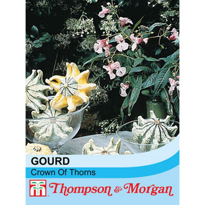 Thompson & Morgan Gourds Crown Of Thorns 1 Seed Packet (25 Seeds) White/Green/Yellow