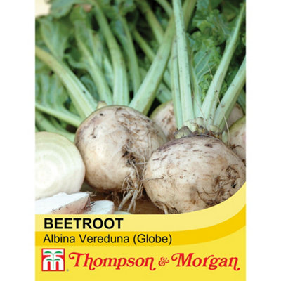Thompson & Morgan Beetroot Albina Vereduna 1 Seed Packet (250 Seeds) from B&Q