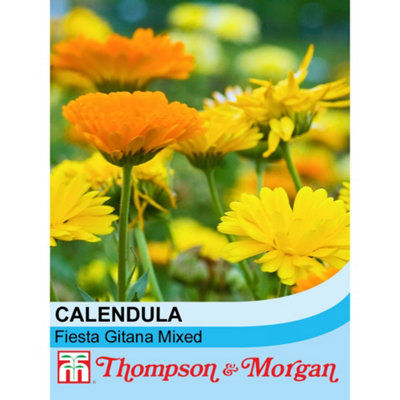 Thompson & Morgan Calendula Fiesta Gitana Mixed 1 Seed Packet (160 Seeds) from B&Q