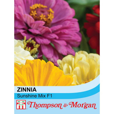 Thompson & Morgan Zinnia Elegans Sunshine Mix F1 Hybrid 1 Seed Packet (12 Seeds) Light