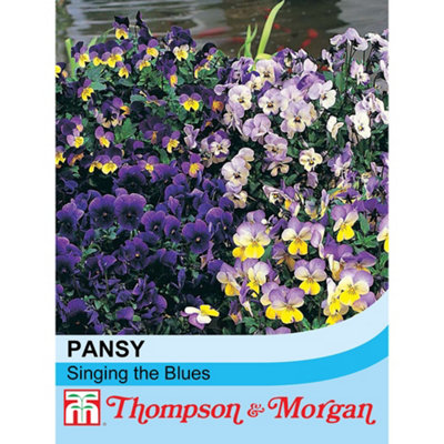 Thompson & Morgan Viola Singing The Blues 1 Seed Packet (25 Seeds) from B&Q