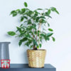 Found it product image.