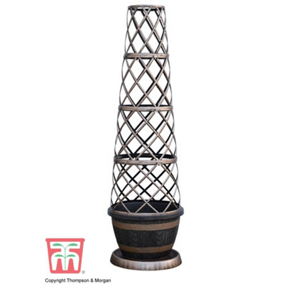 Thompson & Morgan 1 X Barrell Effect Tower Pot Flower Planter With Trellis Frame For Climbing Plants Support Frame from B&Q