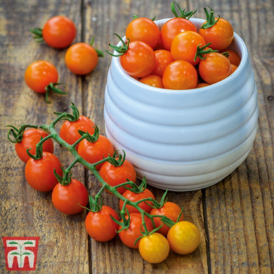 B&Q -  Tomato Honeycomb F1 1 Seed Packet (10 Seeds)