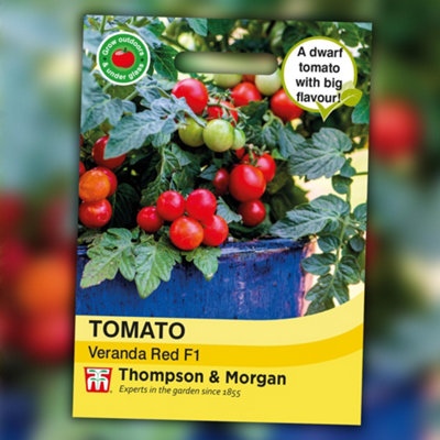 Thompson & Morgan Tomato Veranda F1 1 Seed Packet Red