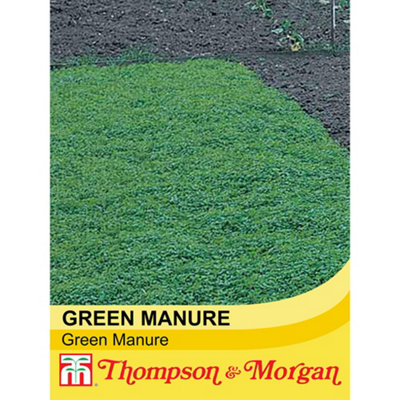 Green Manure 1 Seed PacketThompson & Morgan from B&Q