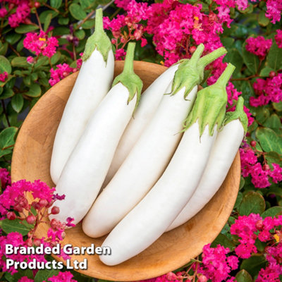 B&Q -  Aubergine White Knight F1 1 Packet (6 Seeds)