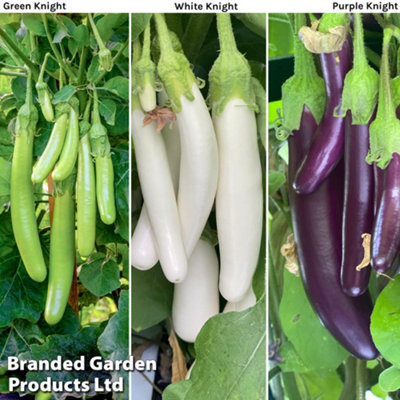 B&Q -  Aubergine Three Knight Collection F1 Recipe 1 Seed Packet