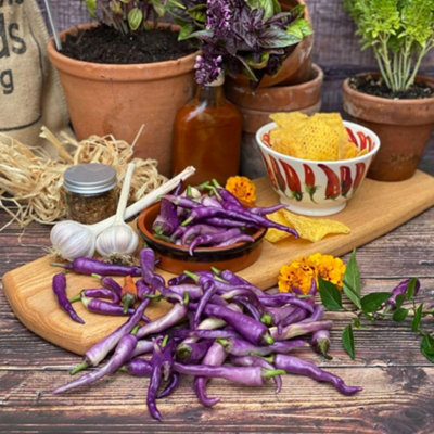 Thompson & Morgan Chilli Capsicum Annuum Buena Mulata 1 Packet (8 Seeds) from B&Q