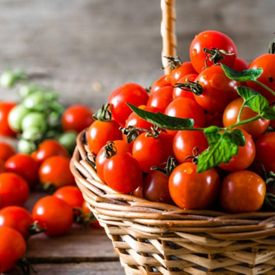 Thompson & Morgan Tomato Consuelo (Crimson Cherry) 1 Seed Packet from B&Q