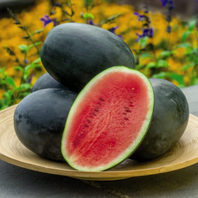 Thompson & Morgan Watermelon Little Darling F1 1 Seed Packet Light