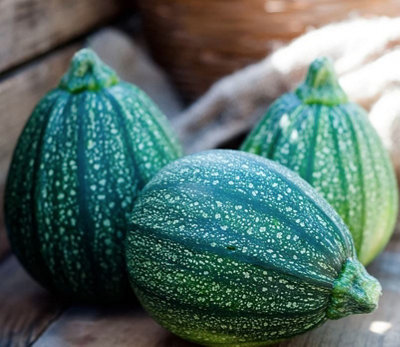 Suttons Seeds Courgette Cucurbita Pepo Boldenice F1 1 X Seed Packet from B&Q