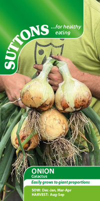 Suttons Seeds Onion Allium Cepa Galacticus 1 Packet from B&Q