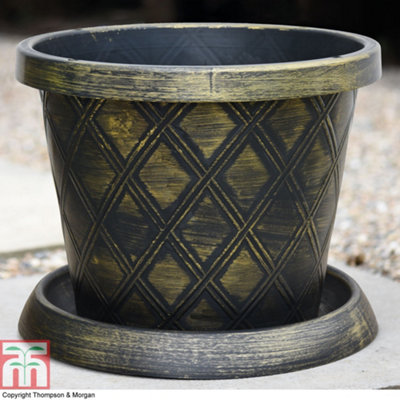 Thompson & Morgan & Patio Pot & Saucer (24 Litre) (39Cm) Large X 1 Black/Gold