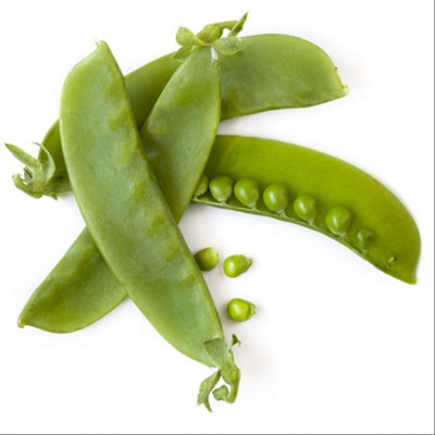 Thompson & Morgan Horizon Mangetout Pea Seeds - Hardy Mildew Resistant High Yield - Approx 120 Seeds Large