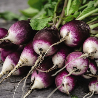 B&Q -  Radish Diana Kew Gardens 1 Seed Packet (350 Seeds)