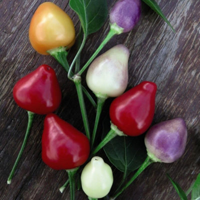 Thompson & Morgan Pepper Capsicum Baccatum Chilli Spangles 1 Seed Packet from B&Q