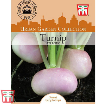 B&Q -  Turnip Atlantic 1 Seed Packet (75 Seeds)