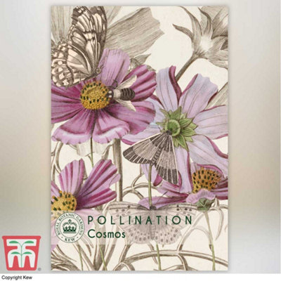 Thompson & Morgan Cosmos Promo New Kew Range 1 Packet (200 Seeds) from B&Q
