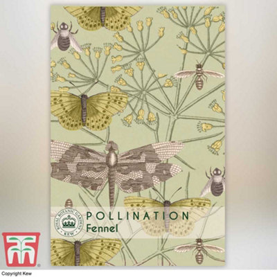 Thompson & Morgan Fennel Promo New Kew Range 1 Seed Packet (250 Seeds) from B&Q