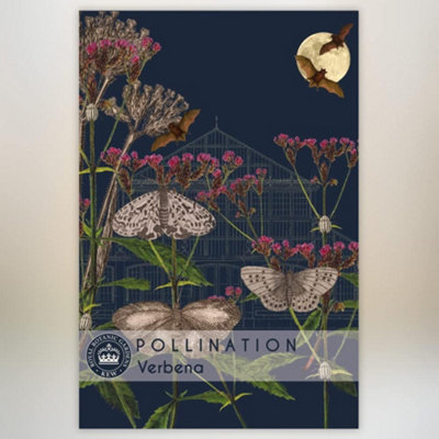 Thompson & Morgan Verbena Promo New Kew Range 1 Packet (200 Seeds) from B&Q