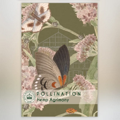 Thompson & Morgan Hemp Agrimony Promo New Kew Range 1 Seed Packet from B&Q