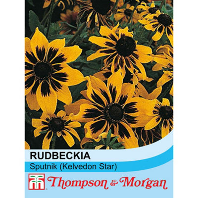Thompson & Morgan Rudbeckia Sputnik (Kelvedon Star) 1 Seed Packet (100 Seeds) from B&Q