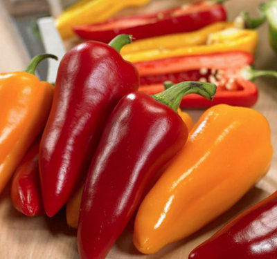 Suttons Seeds Pepper (Sweet) Pillar Sweet Trio F1 1 X Packet from B&Q