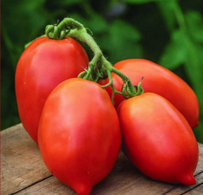Suttons Seeds Tomato Big Mama F1 1 Seed Packet from B&Q