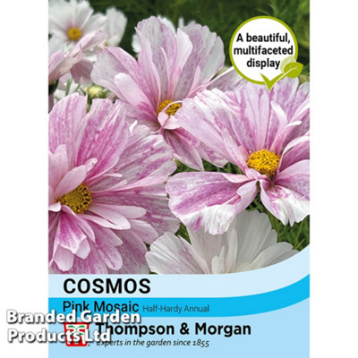 Thompson & Morgan Cosmos Mosaic 1 Packet (15 Seeds) Pink
